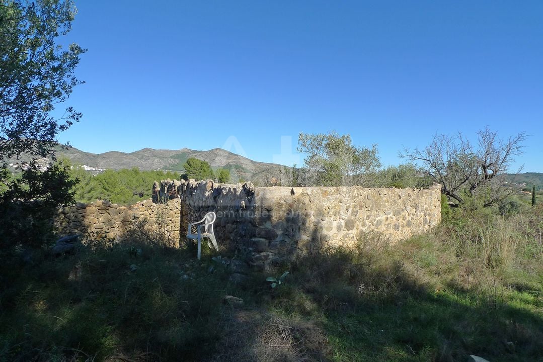 Terrain de  à Jalón- PGP131686 - Photo - 11