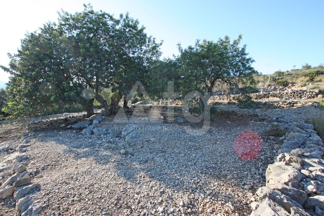  Pozemek v Benimeli- PGP70448 - Foto - 4