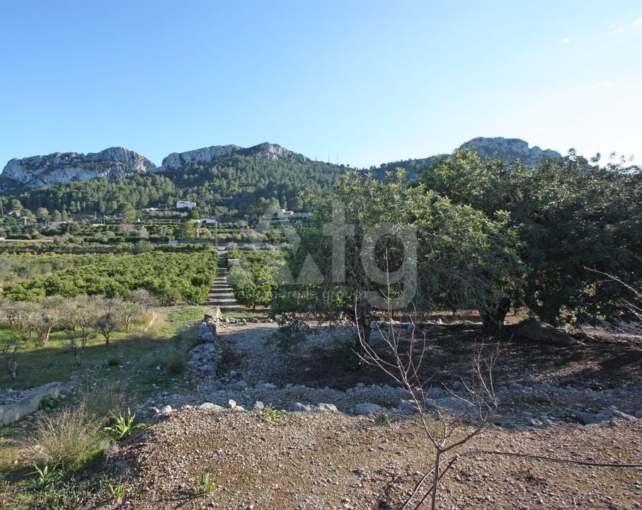  Pozemek v Benimeli- PGP70448 - Foto - 1