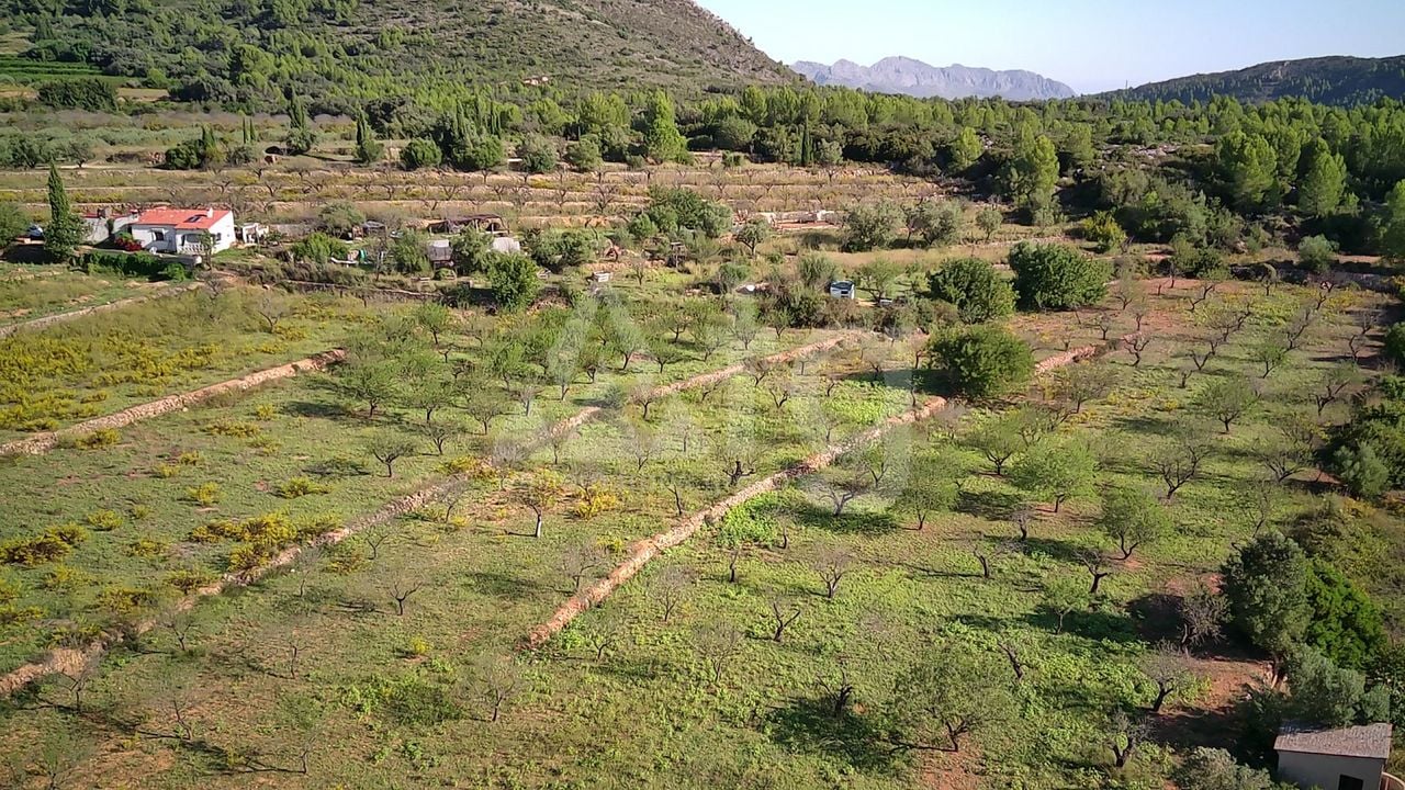 Parcelă cu  în Murla- PGP70458 - Imagini - 2