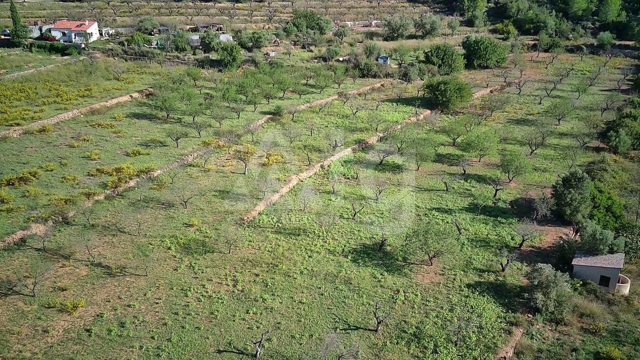 Parcelă cu  în Murla- PGP70458 - Imagini - 3