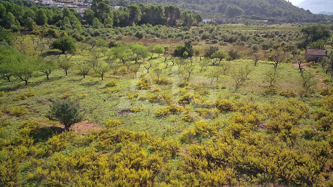 Parcelă cu  în Murla- PGP70458 - Imagini - 5
