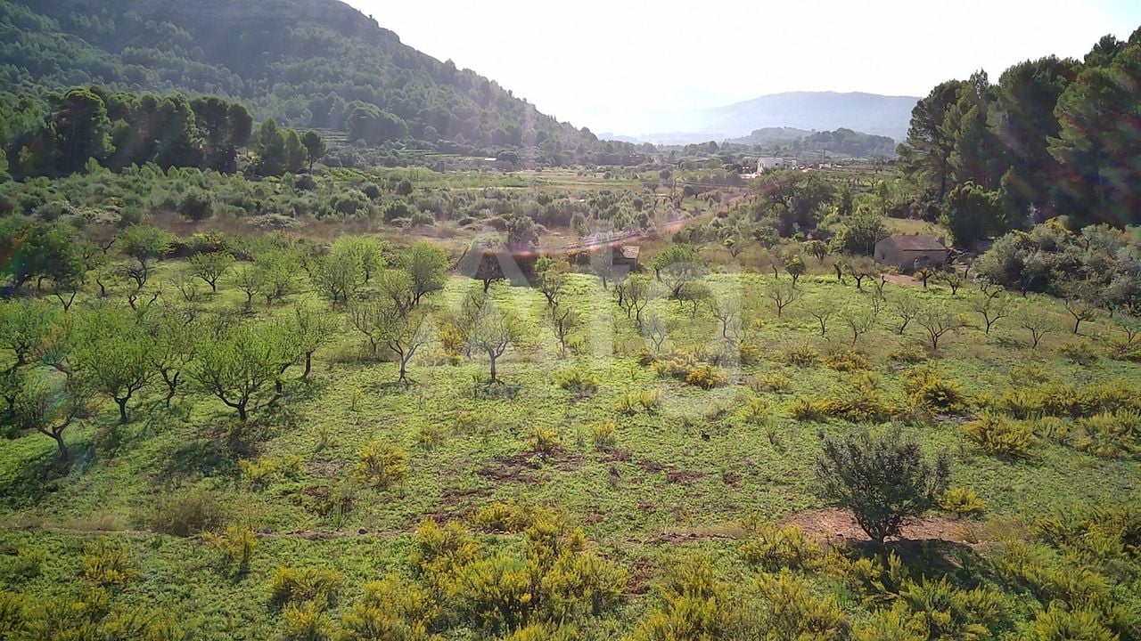 Parcelă cu  în Murla- PGP70458 - Imagini - 6