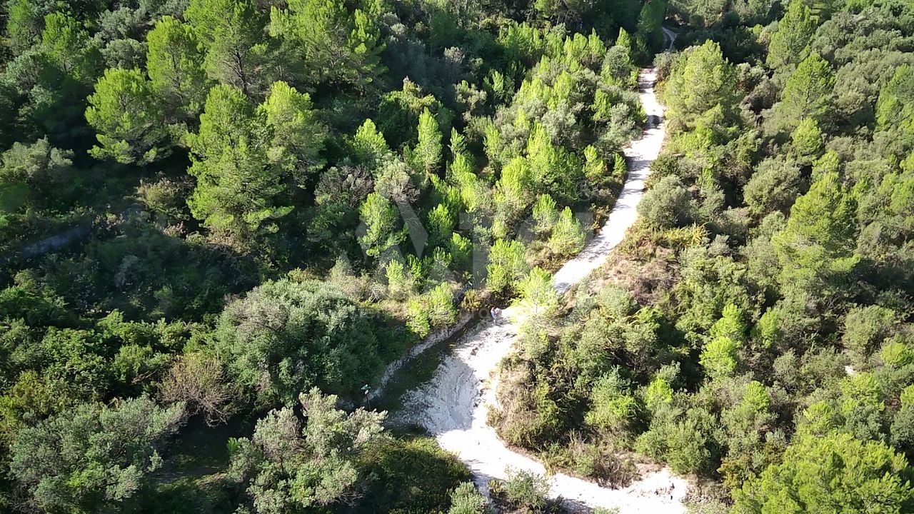  Pozemek v Orba- PGP70459 - Foto - 4