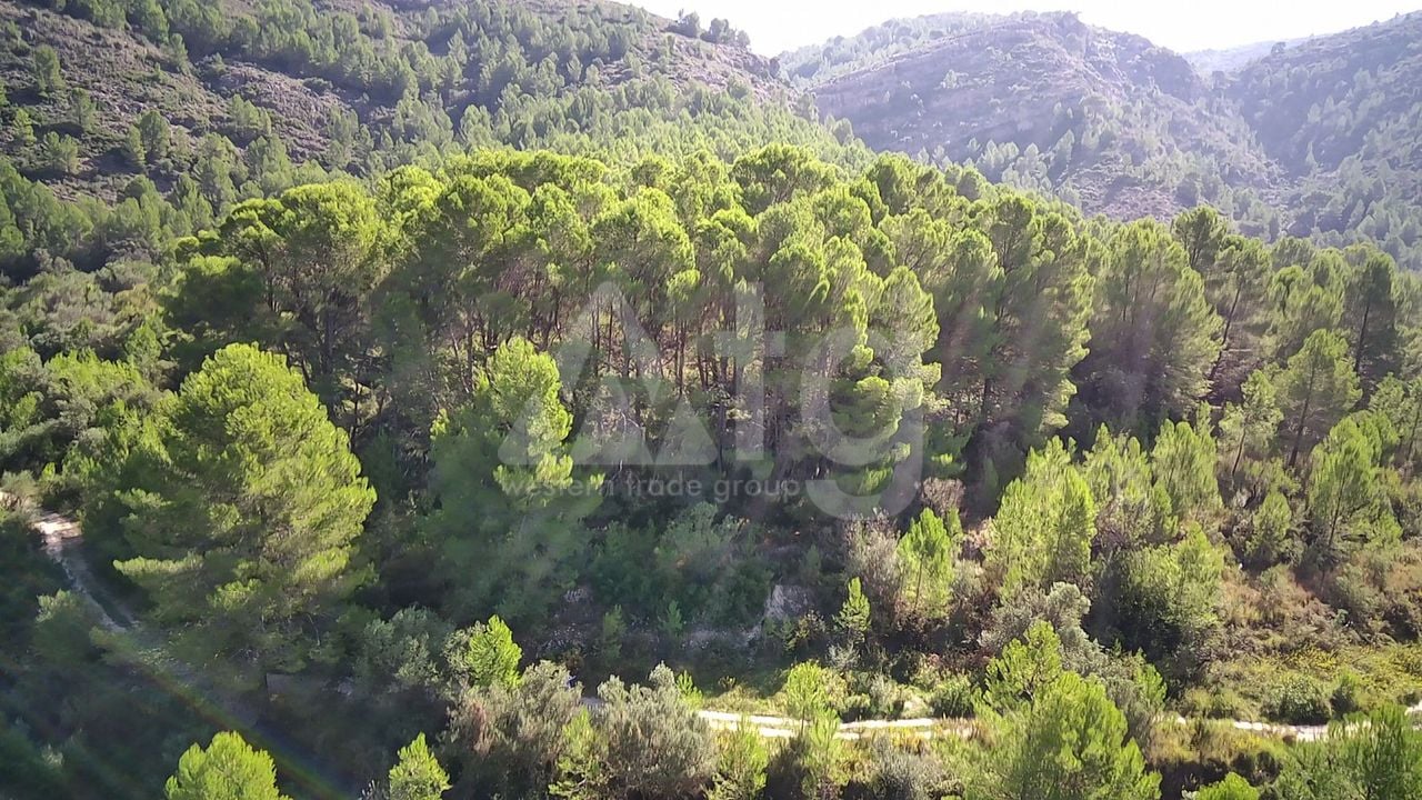  Pozemek v Orba- PGP70459 - Foto - 7