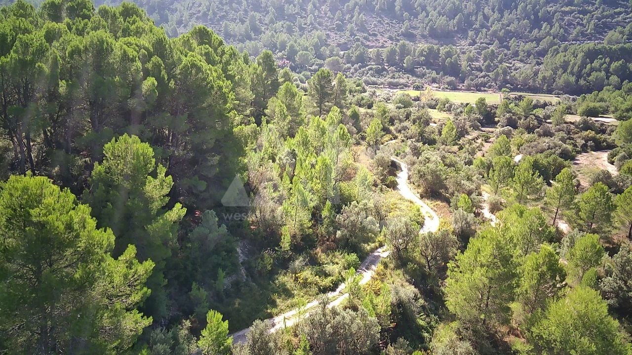  Pozemek v Orba- PGP70459 - Foto - 6