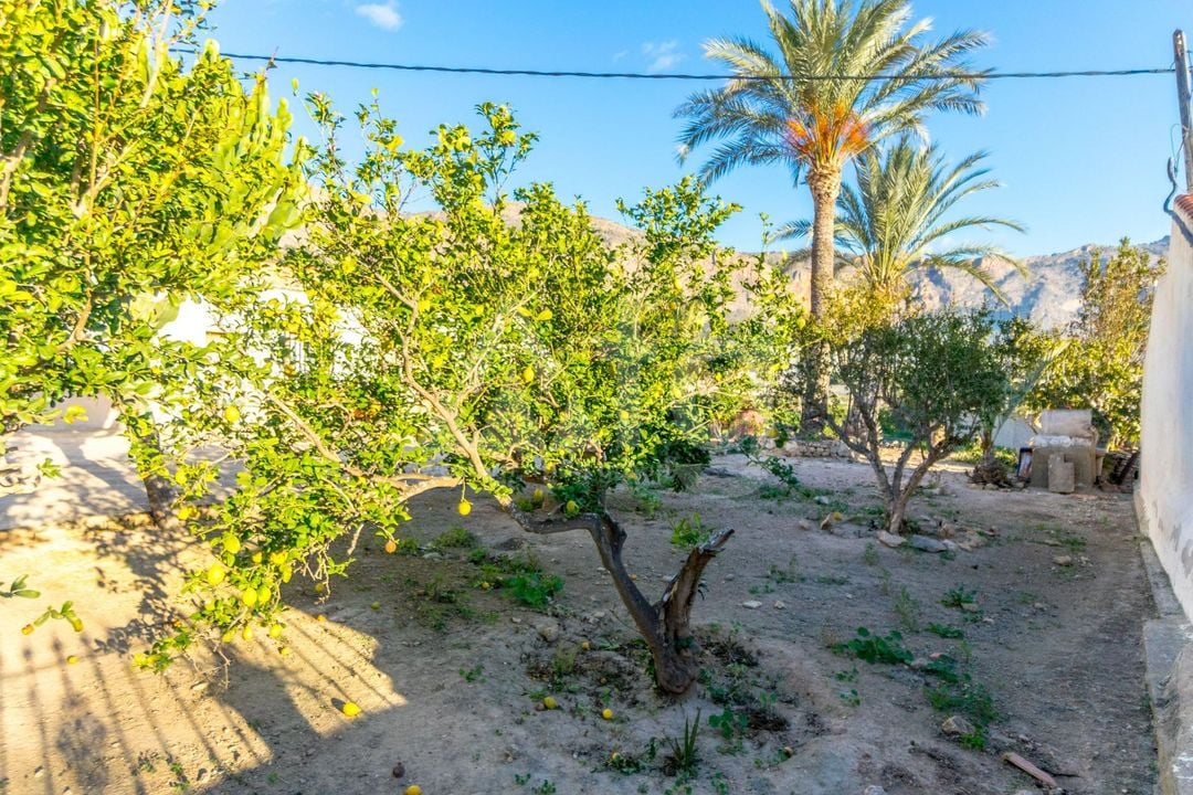 Villa de 4 chambres à Orihuela - JJ70743 - Photo - 21