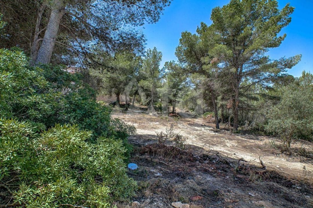  Pozemek v Moraira- MIG75403 - Foto - 1