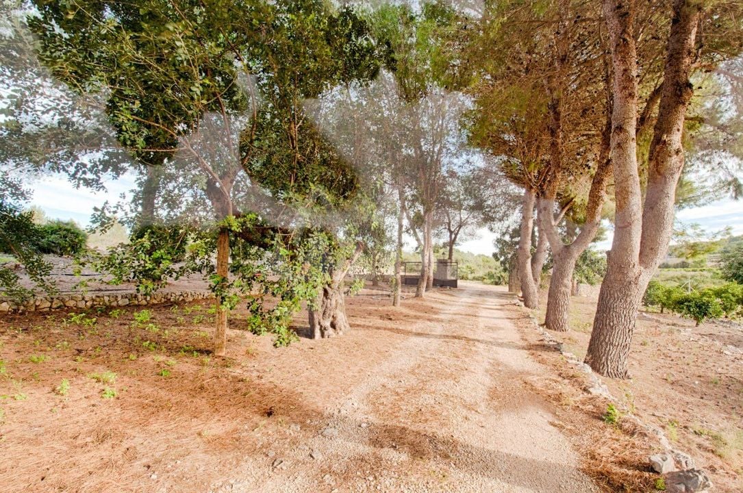 Villa de 4 chambres à Gata de Gorgos - MIG75438 - Photo - 40