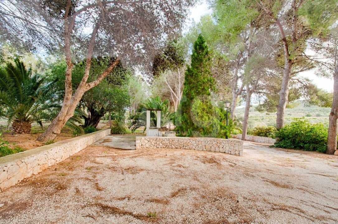 Villa de 4 chambres à Gata de Gorgos - MIG75438 - Photo - 39
