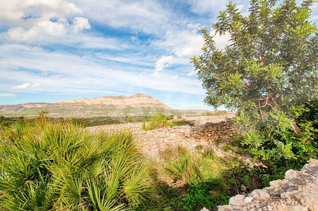 Villa de 4 chambres à Gata de Gorgos - MIG75438 - Photo - 37