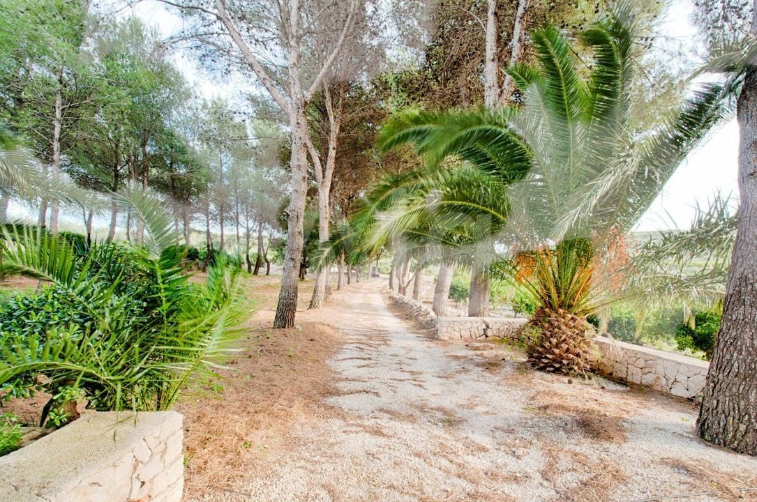 Villa de 4 chambres à Gata de Gorgos - MIG75438 - Photo - 38