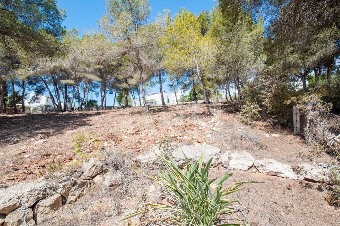  Pozemek v Moraira- MIG75455 - Foto - 4