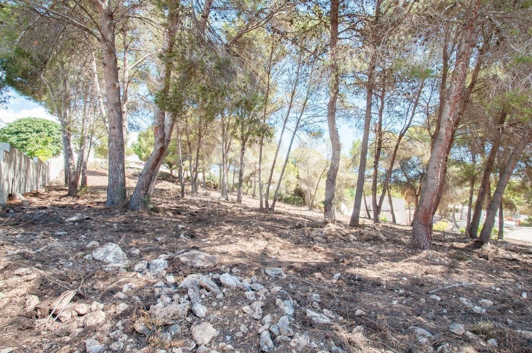  Pozemek v Moraira- MIG75455 - Foto - 3