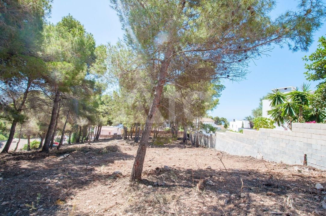  Pozemek v Moraira- MIG75455 - Foto - 8