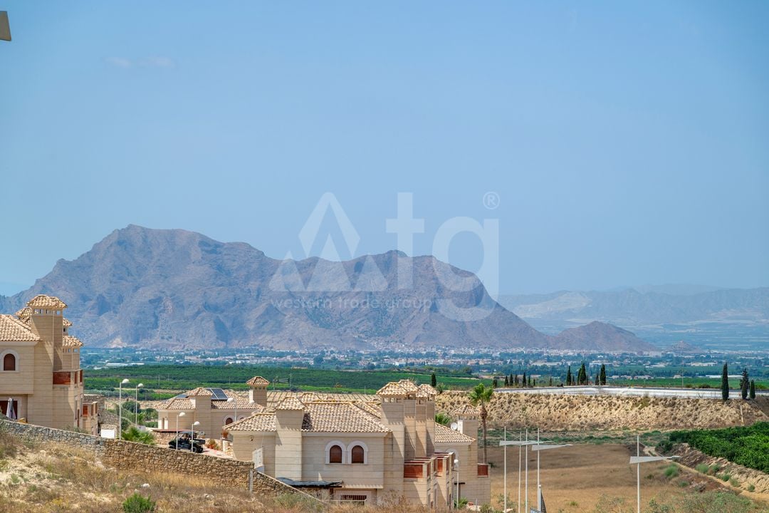 4 bedroom Villa in Algorfa - LAI142321 - Photo - 47