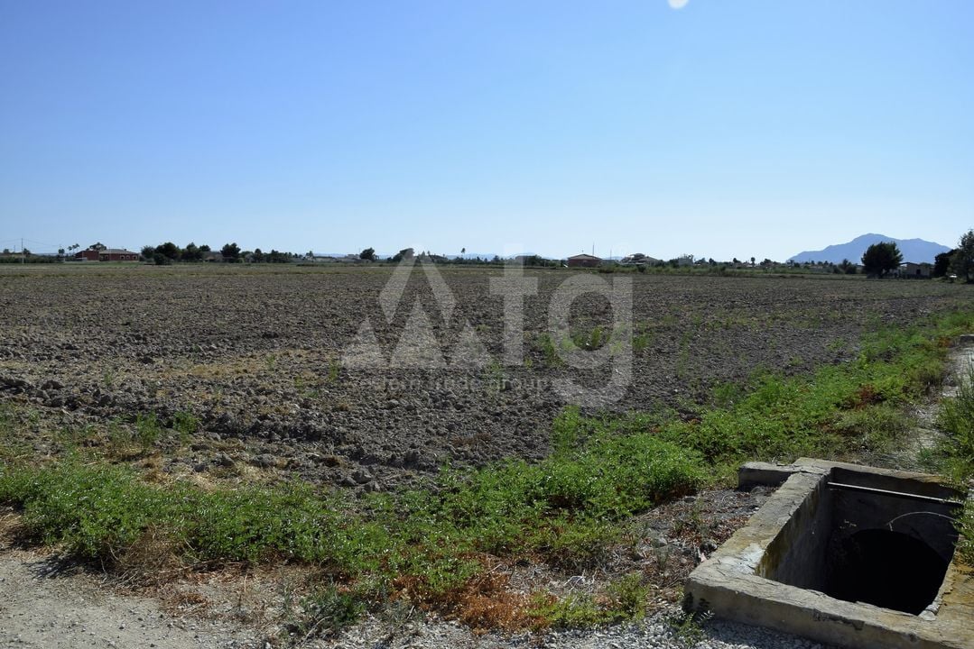 Parcela de  en Catral- NSP77213 - Foto - 3