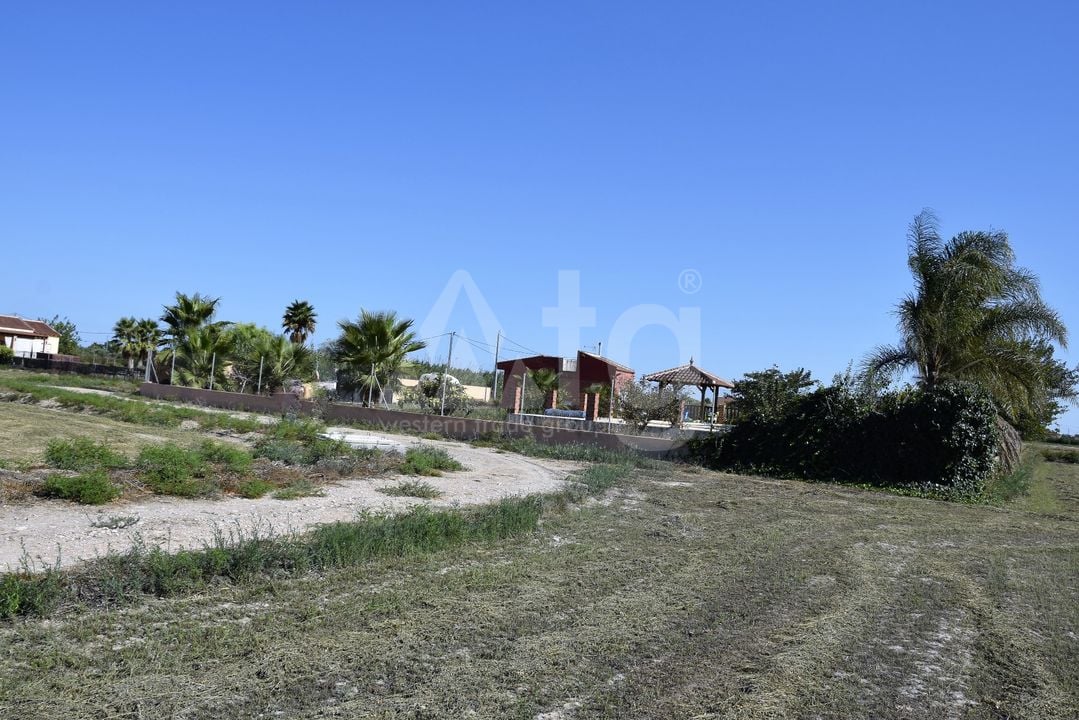 Parcela de  en Catral- NSP77213 - Foto - 4