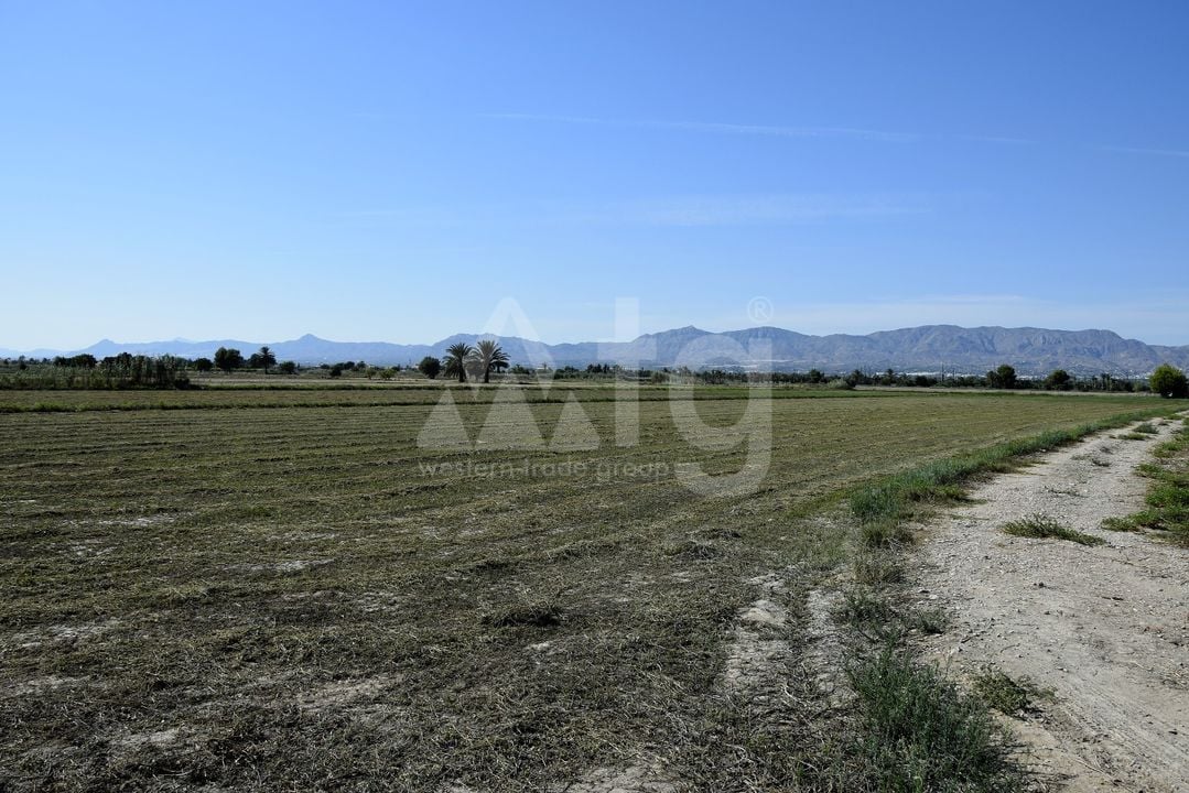 Parcela de  en Catral- NSP77213 - Foto - 2