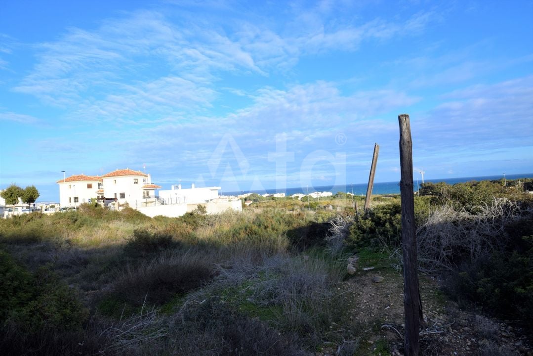  Grundstück in Guardamar del Segura- NSP77241 - Foto - 5