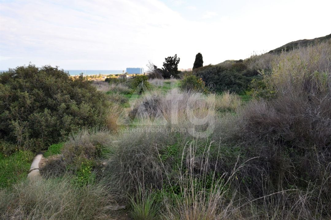  Grundstück in Guardamar del Segura- NSP77241 - Foto - 4