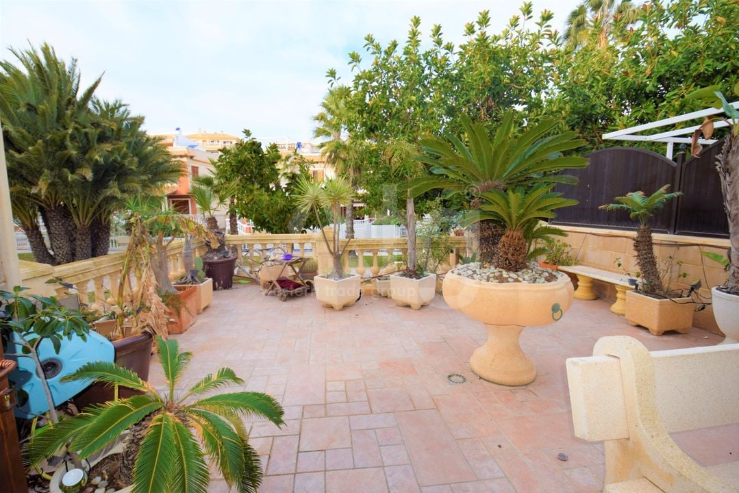 Villa de 5 chambres à Guardamar del Segura - NSP77254 - Photo - 26
