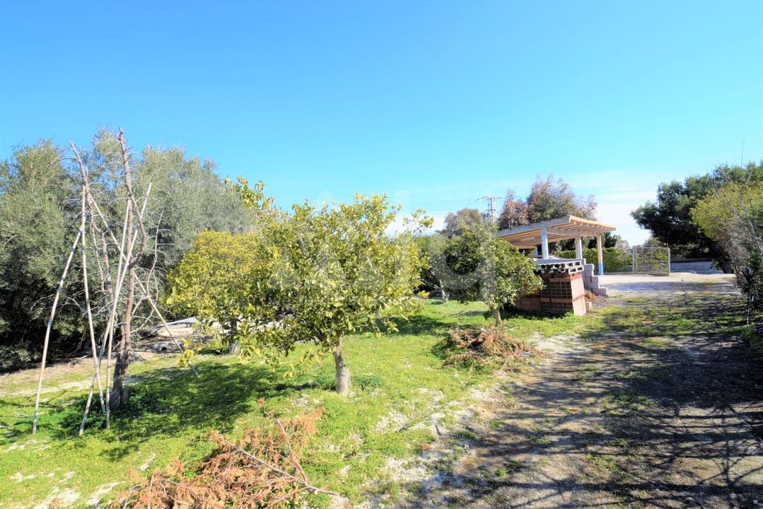 Vilă cu 3 dormitoare în Guardamar del Segura - NSP77255 - Imagini - 18