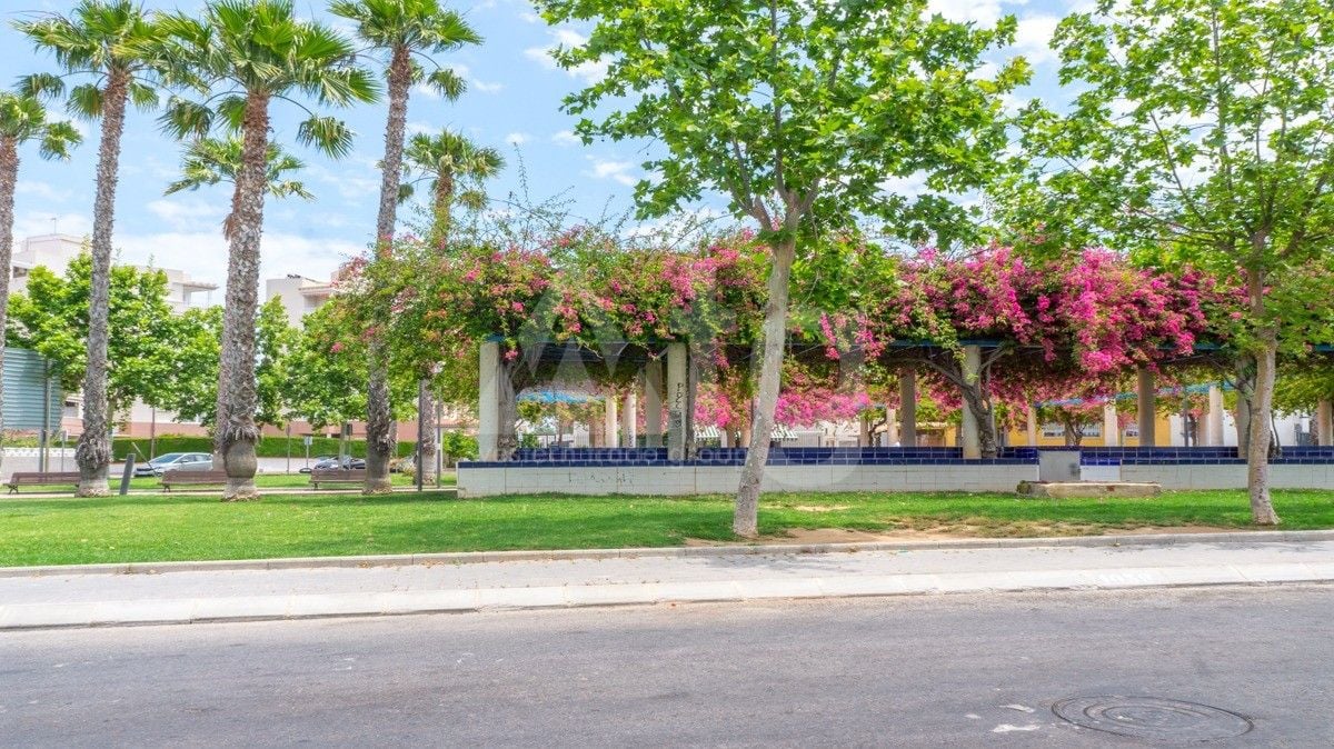 Casă Duplex cu 3 dormitoare în Torrevieja - NSP77256 - Imagini - 13