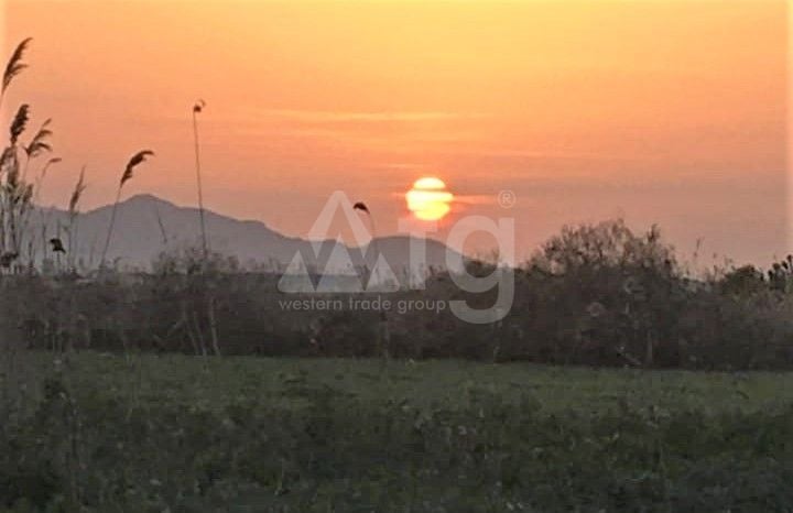  Grundstück in Crevillente- NSP77265 - Foto - 4