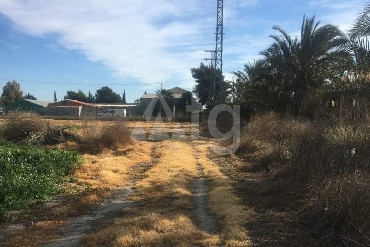  Grundstück in Crevillente- NSP77265 - Foto - 3