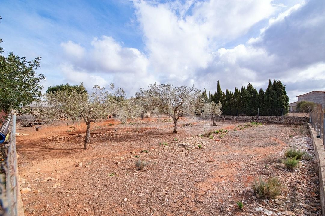 4 bedroom Villa in Benissa - MIG77725 - Photo - 34