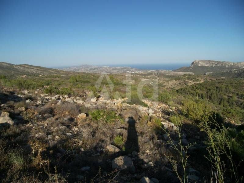 Parcela de  en Jalón- IPR78377 - Foto - 6