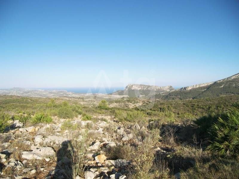 Parcela de  en Jalón- IPR78377 - Foto - 7