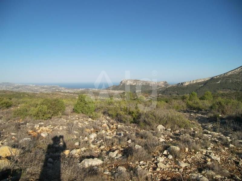 Parcela de  en Jalón- IPR78377 - Foto - 10