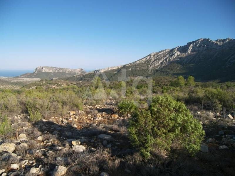 Parcela de  en Jalón- IPR78377 - Foto - 12