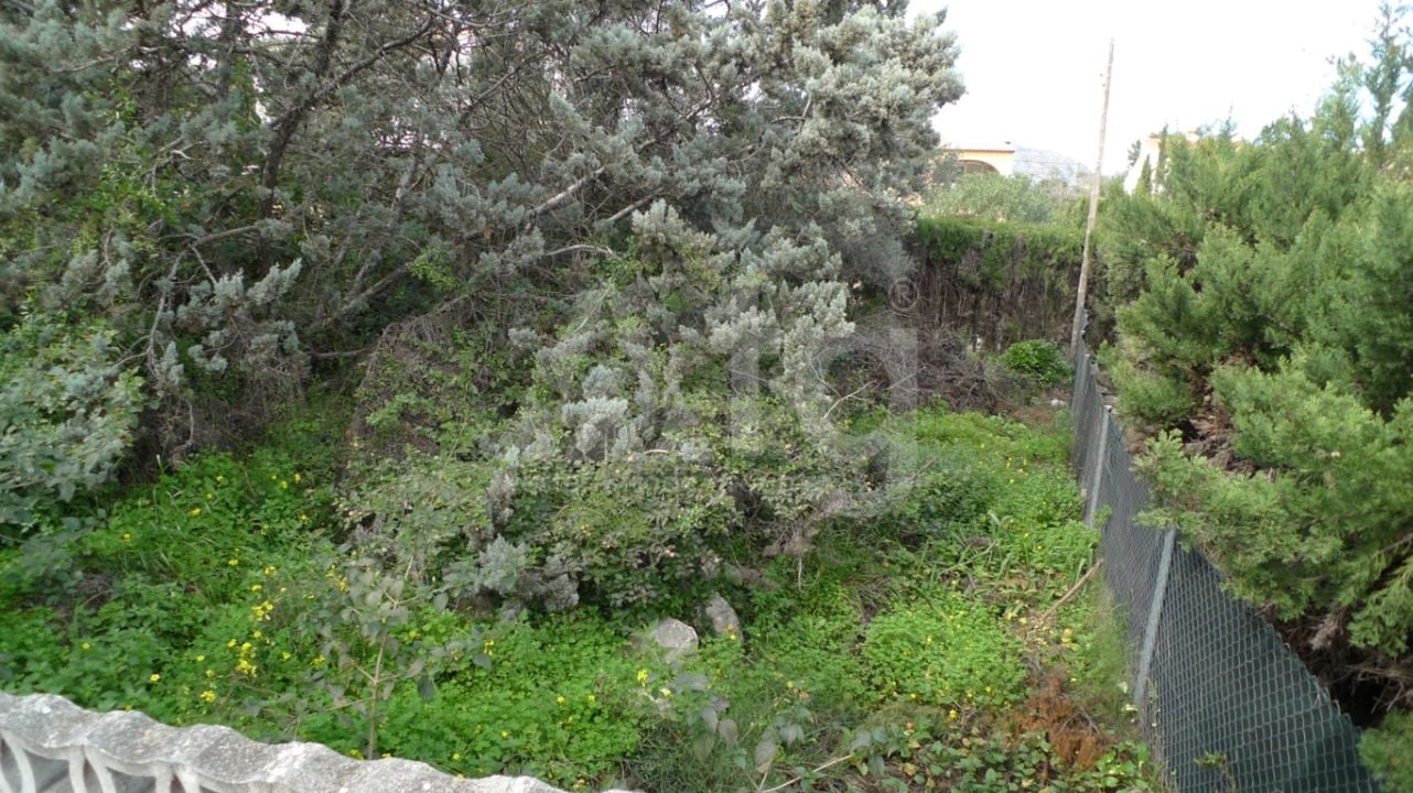  Pozemek v Orba- PGP80763 - Foto - 2
