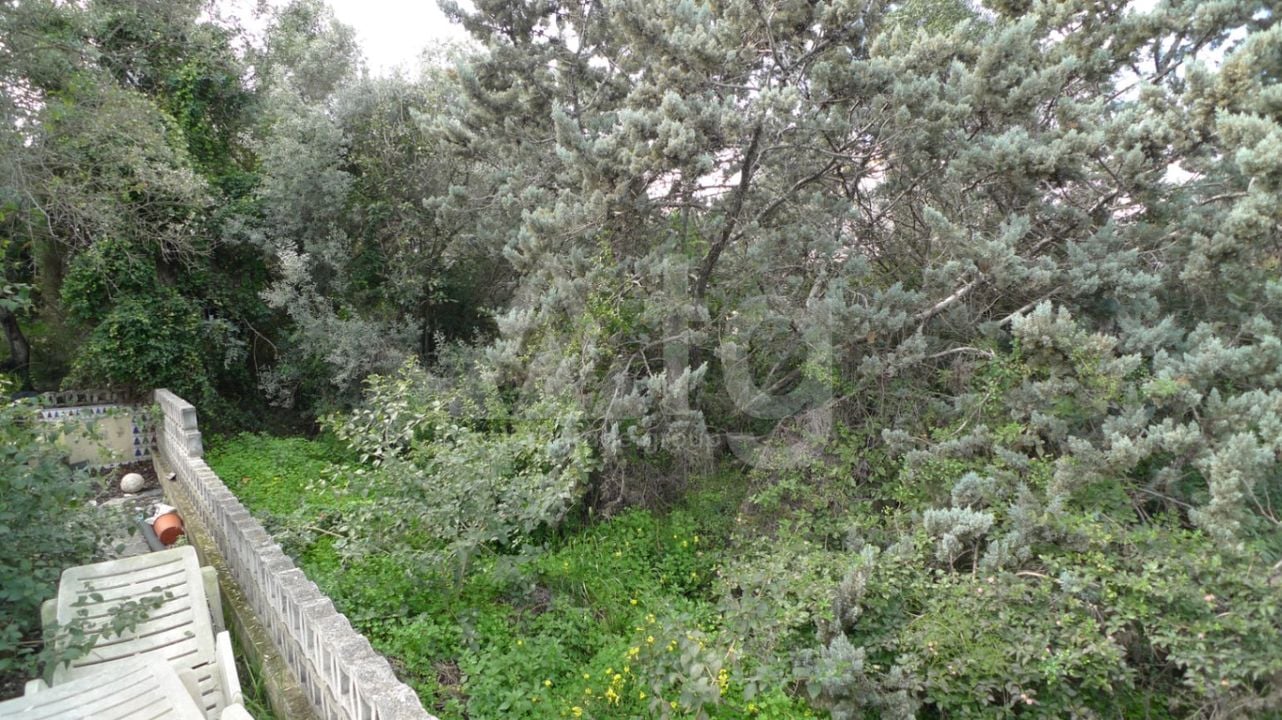  Pozemek v Orba- PGP80763 - Foto - 3