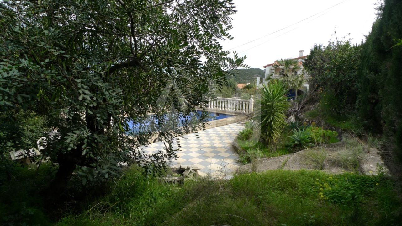  Pozemek v Orba- PGP80763 - Foto - 4