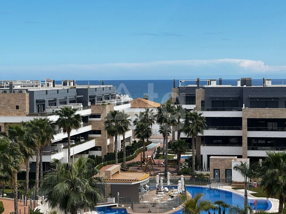 Appartement de 2 chambres à Playa Flamenca - LR80826 - Photo - 30