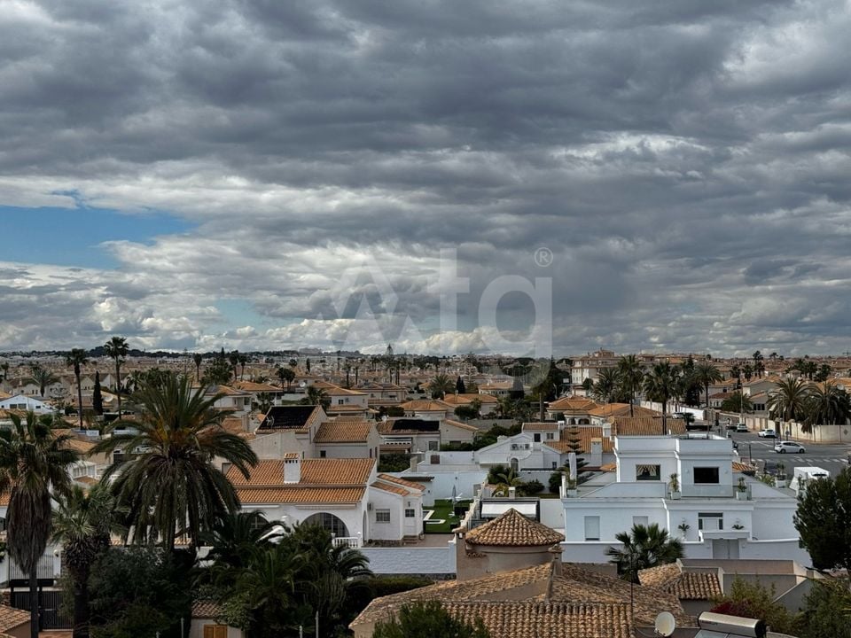 Appartement de 2 chambres à Playa Flamenca - LR80826 - Photo - 29