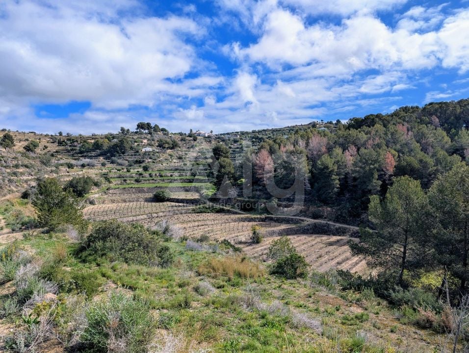  Pozemek v Benissa- CBP80902 - Foto - 14