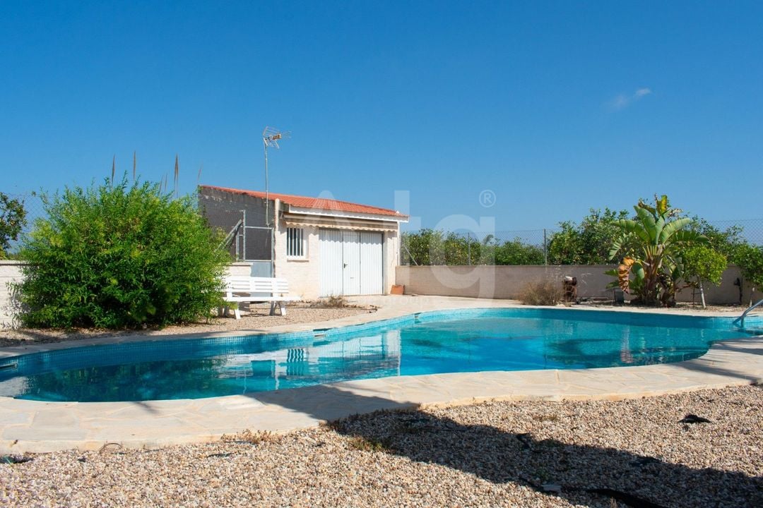 Villa de 3 chambres à Guardamar del Segura - SV81250 - Photo - 38