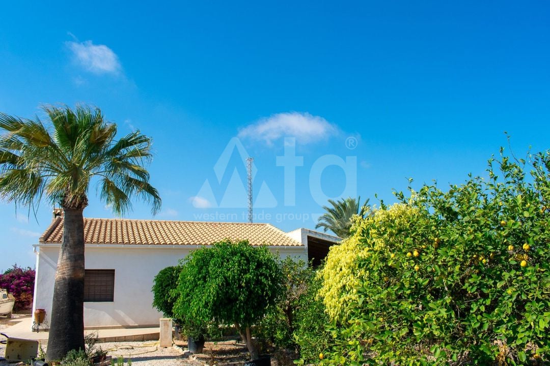 Villa de 3 chambres à Guardamar del Segura - SV81250 - Photo - 47