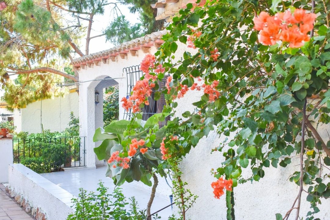 4 bedroom Villa in Orihuela Costa - SV81253 - Photo - 37