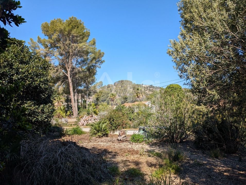 Terrain de  à Benissa- CBP81666 - Photo - 2
