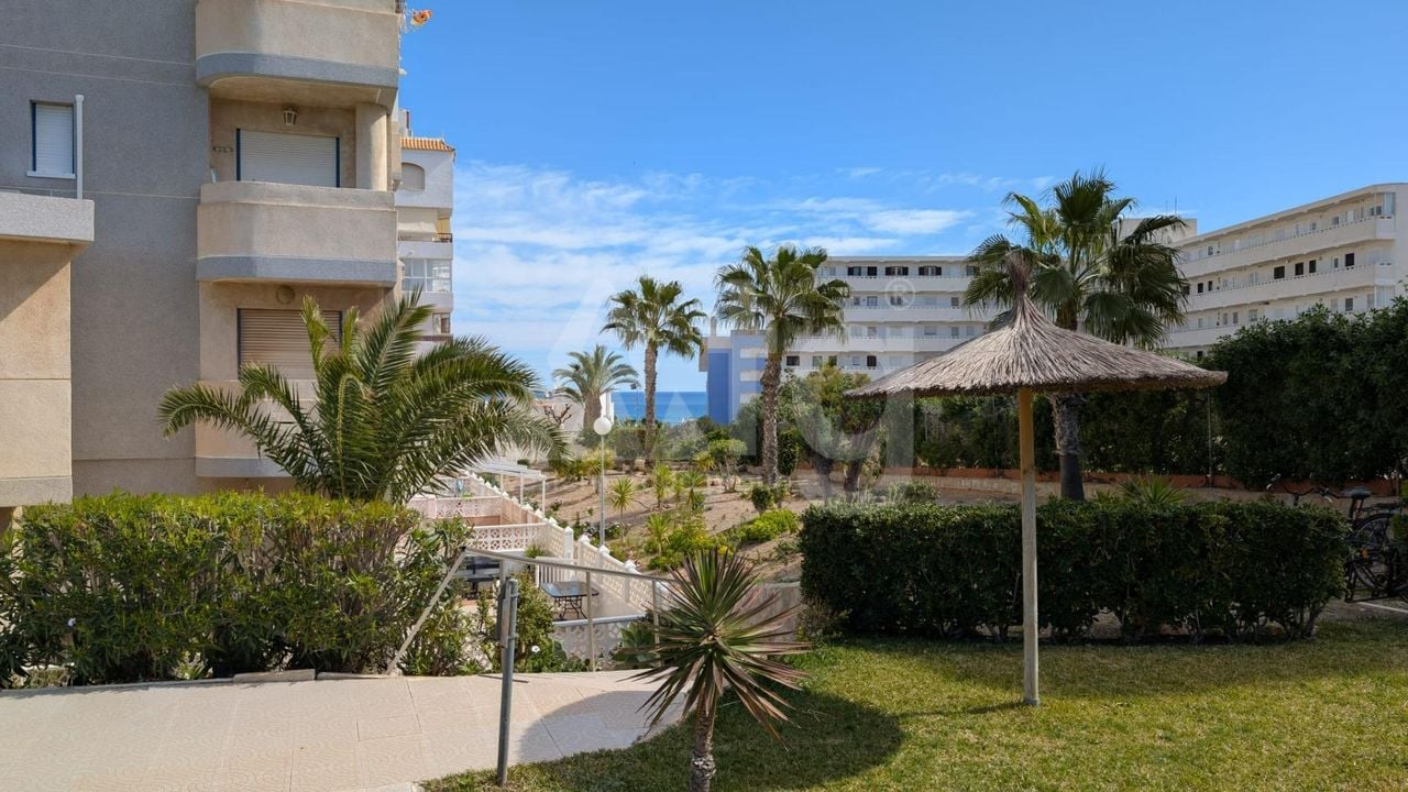 1 Schlafzimmer Appartement in Torrevieja - VEC81725 - Foto - 16
