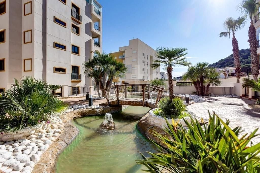 Apartament cu 3 dormitoare în Guardamar del Segura - AG82462 - Imagini - 22