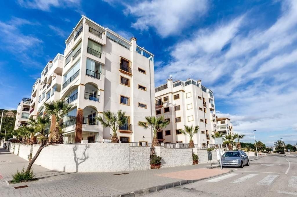 Apartament cu 3 dormitoare în Guardamar del Segura - AG82462 - Imagini - 26