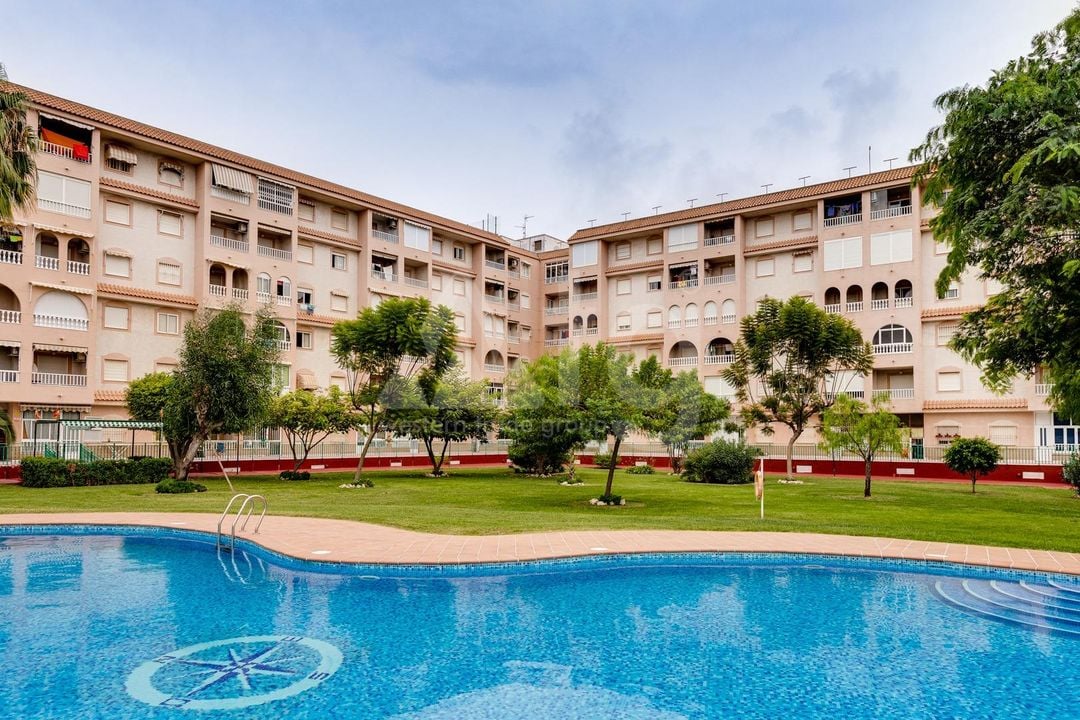 2 bedroom Apartment in Torrevieja - SV92659 - Photo - 2