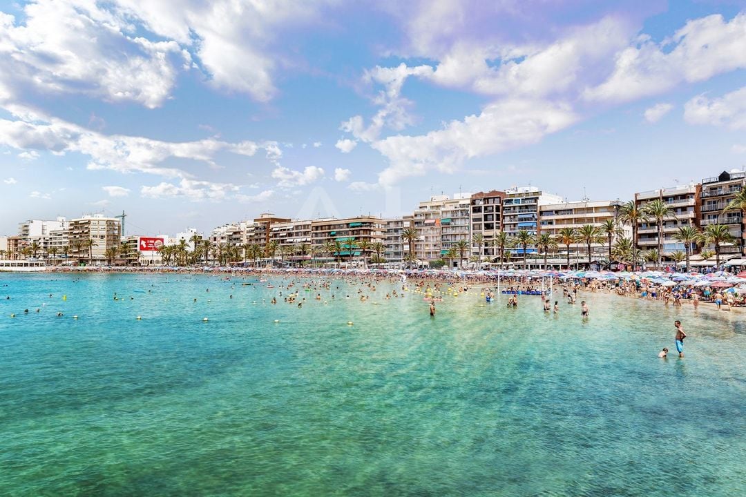 2 bedroom Apartment in Torrevieja - SV92659 - Photo - 43